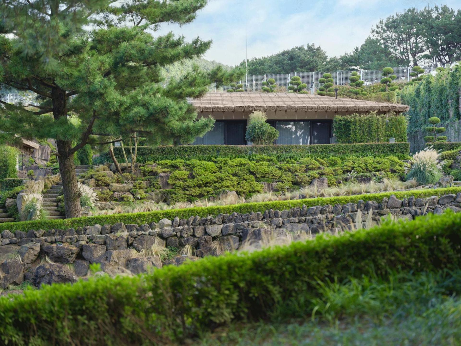 Amber Pure Hill Hotels & Resorts Jeju Exterior photo